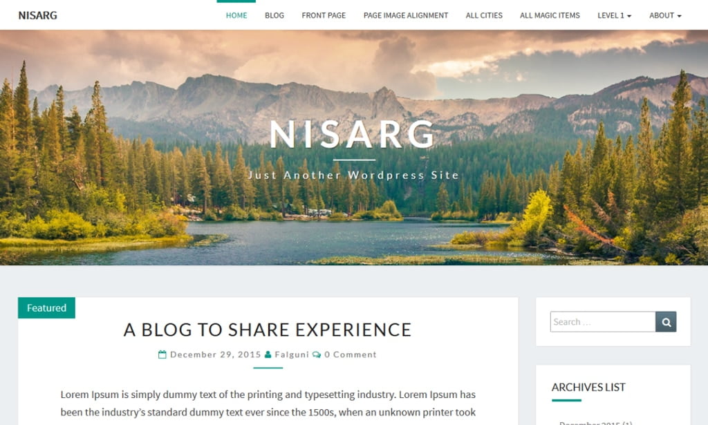 nisarg-wordpress-theme